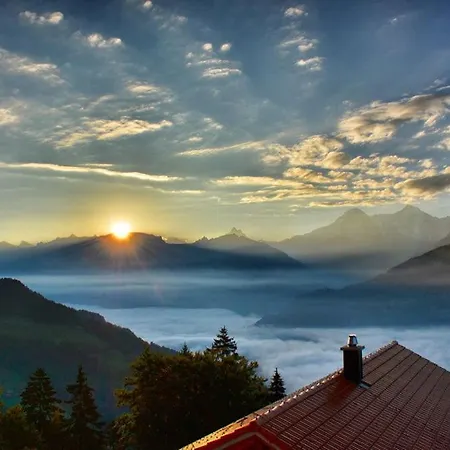 Apartament Alpenparadies *