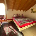 Alpenparadies Apartment